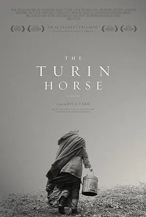 The Turin Horse poster