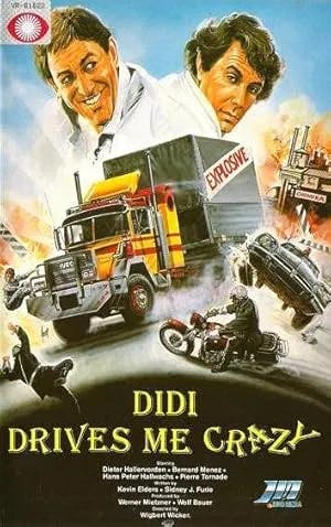 Didi Drives Me Crazy poster