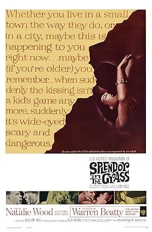 Splendor in the Grass poster